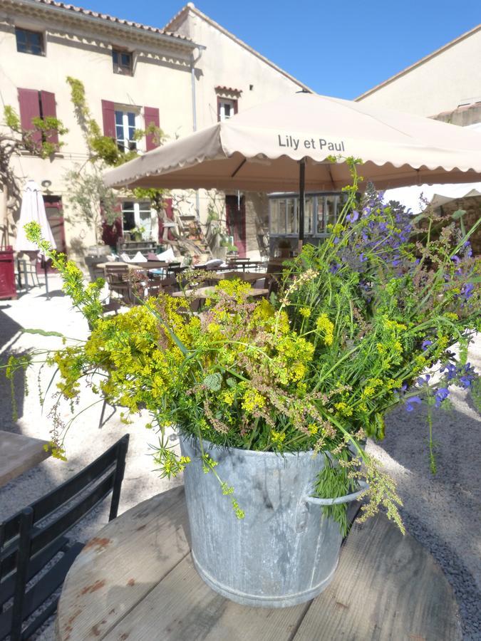 Lily Et Paul Bed & Breakfast Bedoin